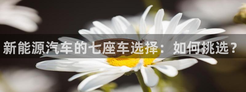 广东新宝电器gg