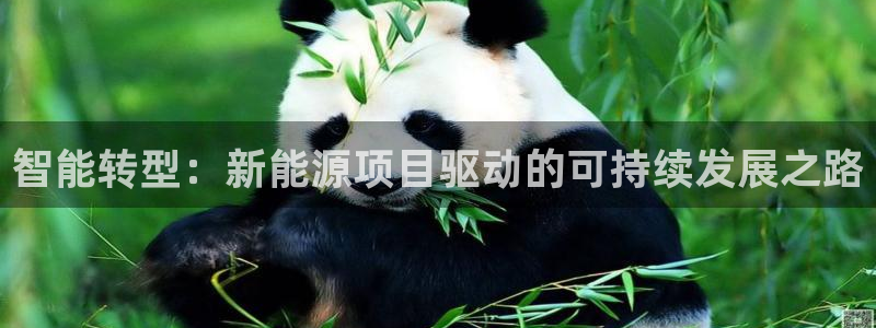 新宝GG 扣.772332:智能转型:新能源项目驱动的可持续