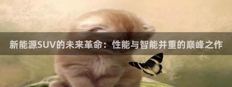 新宝gg挣钱