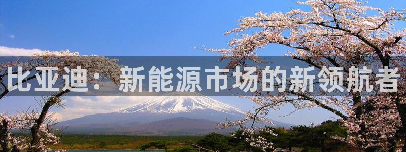 新宝GG寻29999：比亚迪：新能源市场