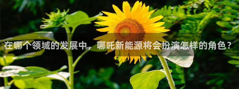 新宝gg主页：在哪个领域的发展中，哪吒新