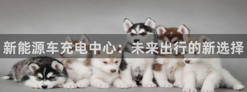 新宝gg平台：新能源车充电中心：未来出行
