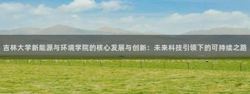 新宝gg开号：吉林大学新能源与环境学院的