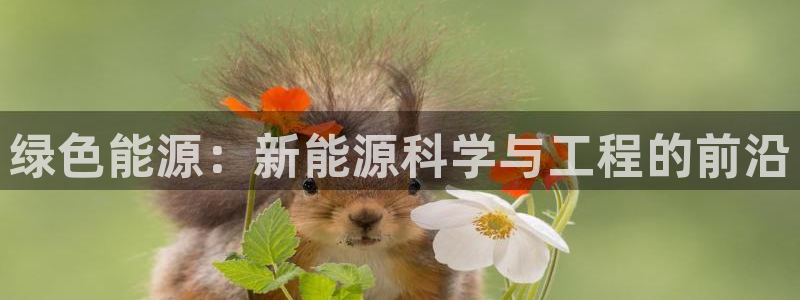 新宝gg游戏:绿色能源:新能源科学与工程的前沿
