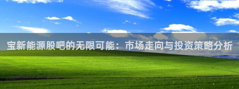 新宝平台gg：宝新能源股吧的无限可能：市