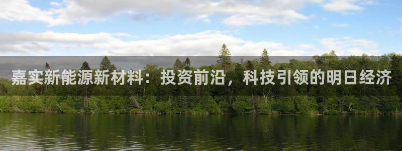 新宝gg娱乐-上鼎狐网：嘉实新能源新材料