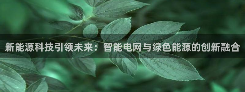 新宝GG类别78778：新能源科技引领未