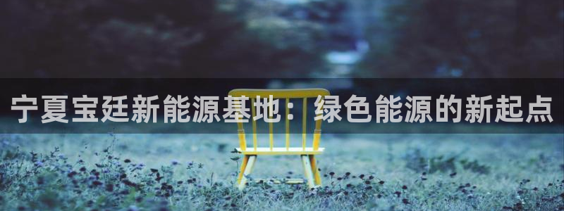新宝gg注册新账号:宁夏宝廷新能源基地:绿色能源的新起点