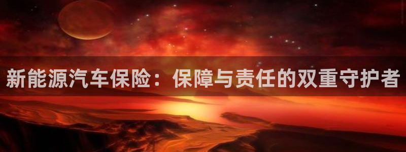 新宝gg 黑:新能源汽车保险:保障与责任的双重守护者
