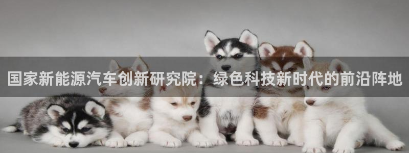 新宝gg返点模式:国家新能源汽车创新研究院:绿色科技新时代的