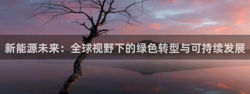 新宝gg平台开发:新能源未来:全球视野下的绿色转型与可持续发