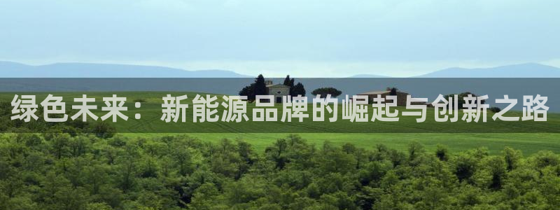 新宝gg网:绿色未来:新能源品牌的崛起与创新之路