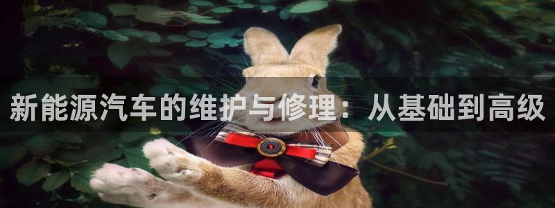 新宝gg平台q891465:新能源汽车的维护与修理:从基础到