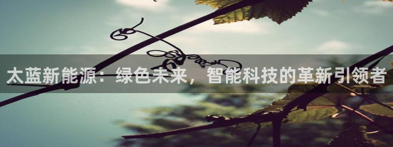 新宝gg集团:太蓝新能源:绿色未来,智能科技的革新引领者