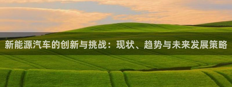 新宝GG的老板:新能源汽车的创新与挑战:现状、趋势与未来发展