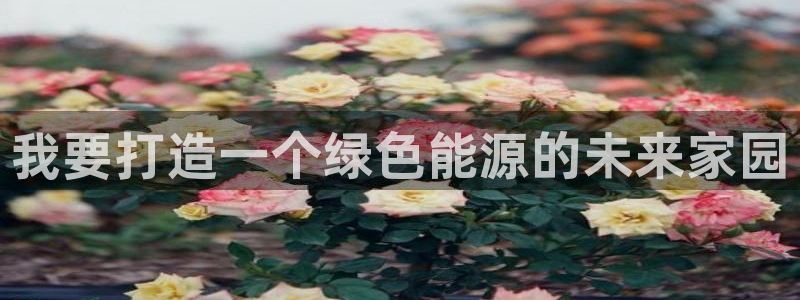 新宝gg运营88383:我要打造一个绿色能源的未来家园