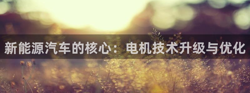 新宝gg合法吗:新能源汽车的核心:电机技术升级与优化