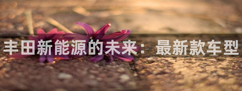 新宝gg 77848扣:丰田新能源的未来:最新款车型