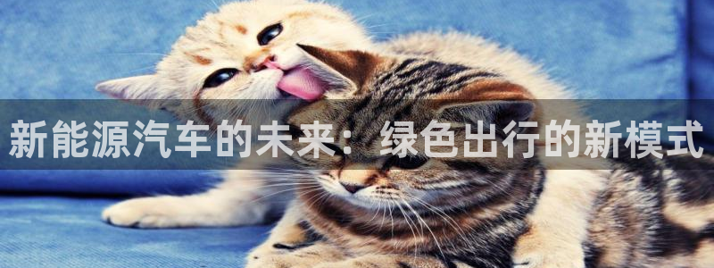 新宝gg总管:新能源汽车的未来:绿色出行的新模式