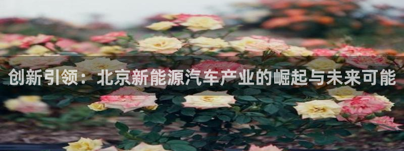 新宝gg重庆:创新引领:北京新能源汽车产业的崛起与未来可能