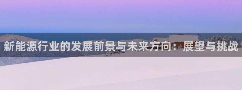 新宝GG槐78778:新能源行业的发展前景与未来方向:展望与