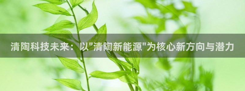 新宝 gg登录:清陶科技未来:以\"清陶新能源\"为核心新方
