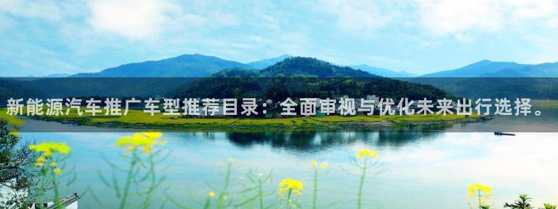 新宝gg创造奇迹登陆:新能源汽车推广车型推荐目录:全面审视与