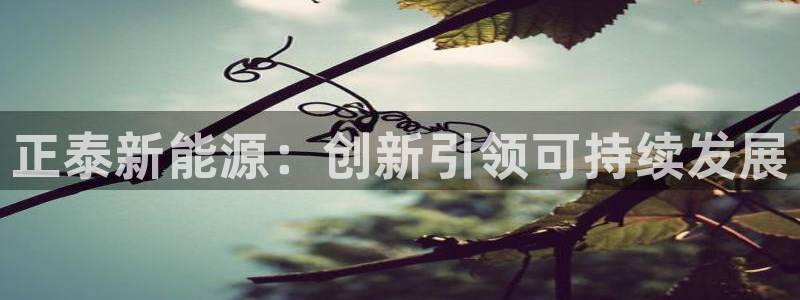 新宝gg域:正泰新能源:创新引领可持续发展