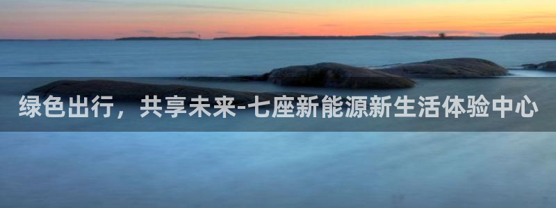 新宝GG询问29999:绿色出行,共享未来-七座新能源新生活