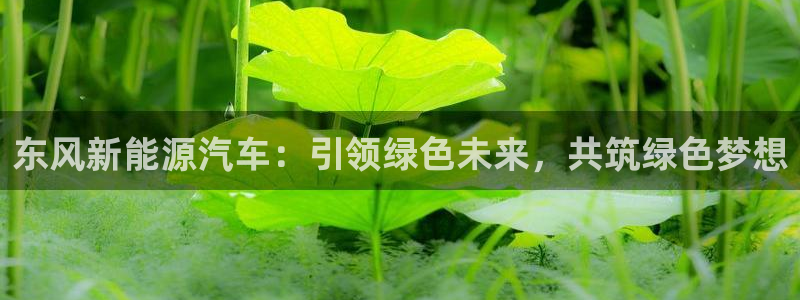 新宝Gg测速地址:东风新能源汽车:引领绿色未来,共筑绿色梦想