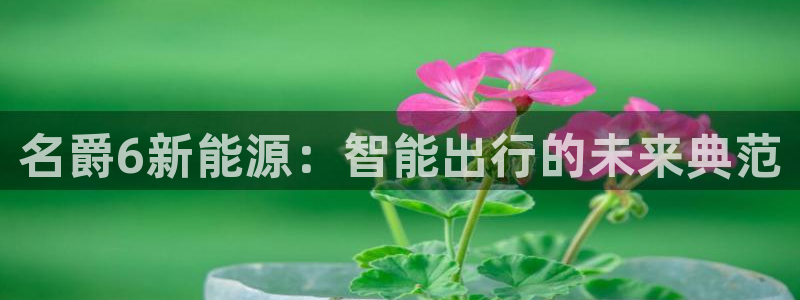 新宝gg主管开:名爵6新能源:智能出行的未来典范