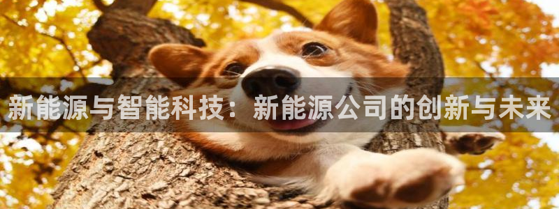 新宝gg如何代理