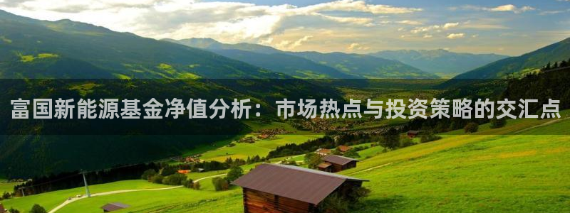 新宝gg重庆：富国新能源基金净值分析：市