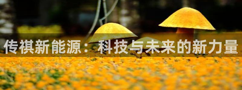 新宝gg--创：传祺新能源：科技与未来的